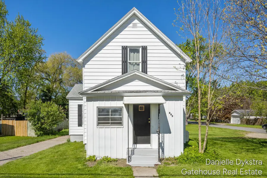 803 James Street, Belding, MI 48809 - #2