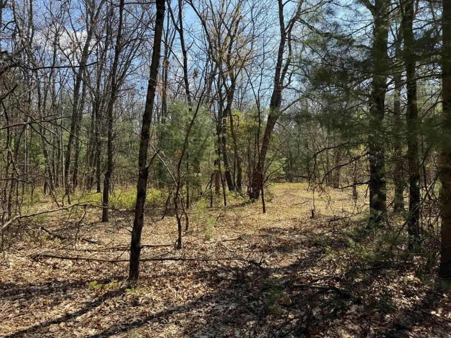 VL W Almy Road, Howard City, MI 49329 - #3