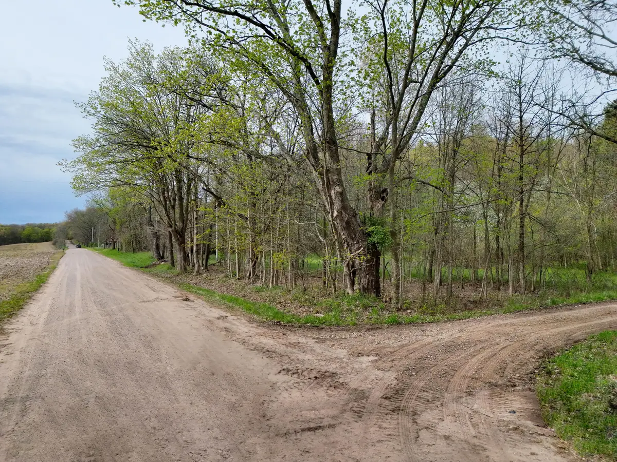 V/L Biggs Avenue Ne, Lowell, MI 49331 - #1