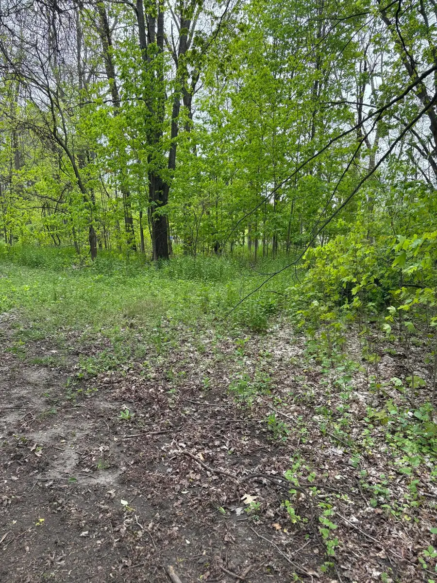 W Territorial Road, Battle Creek, MI 49015 - #2