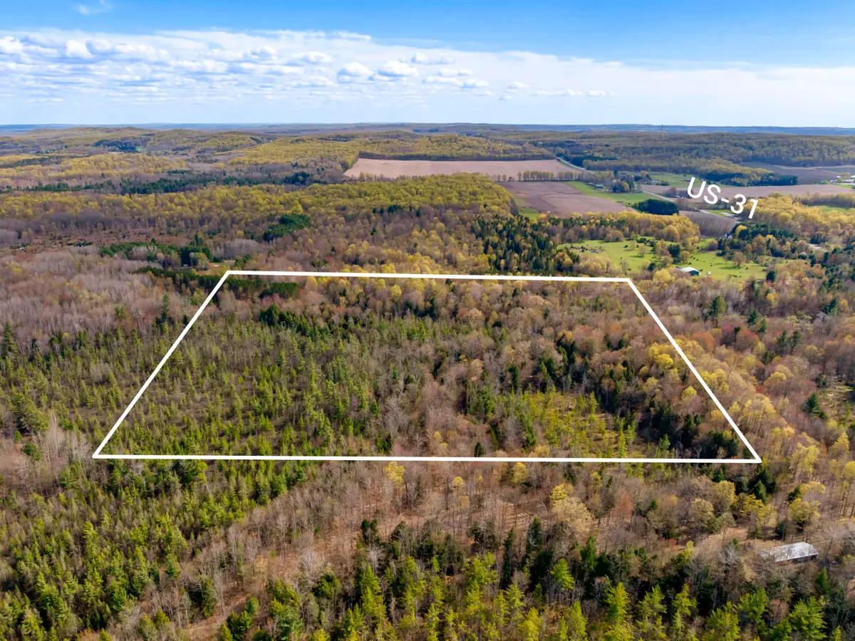 00 Benzie Highway, Benzonia, MI 49616 - #1