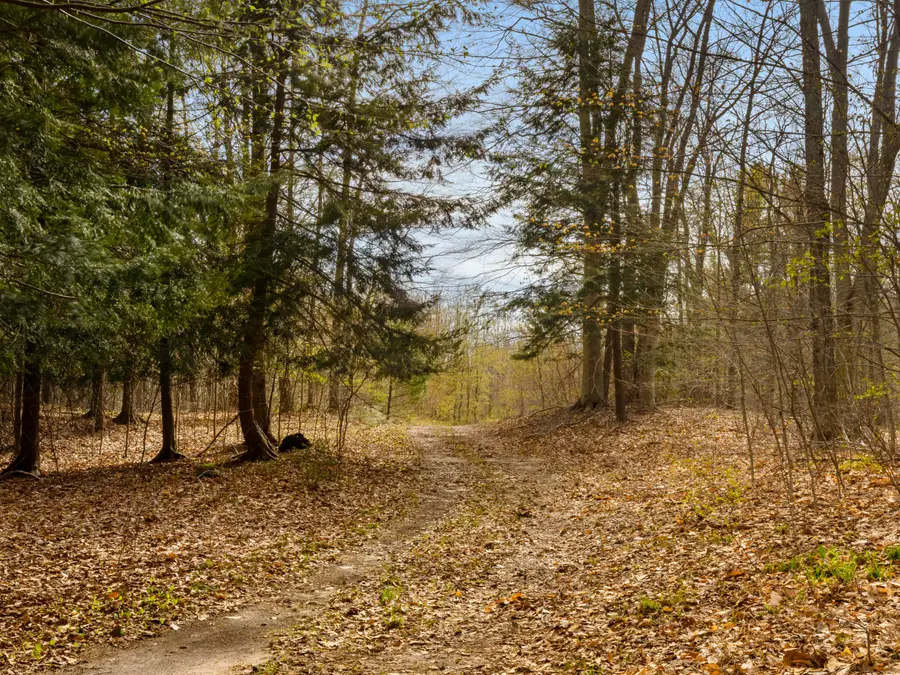 00 Benzie Highway, Benzonia, MI 49616 - #2