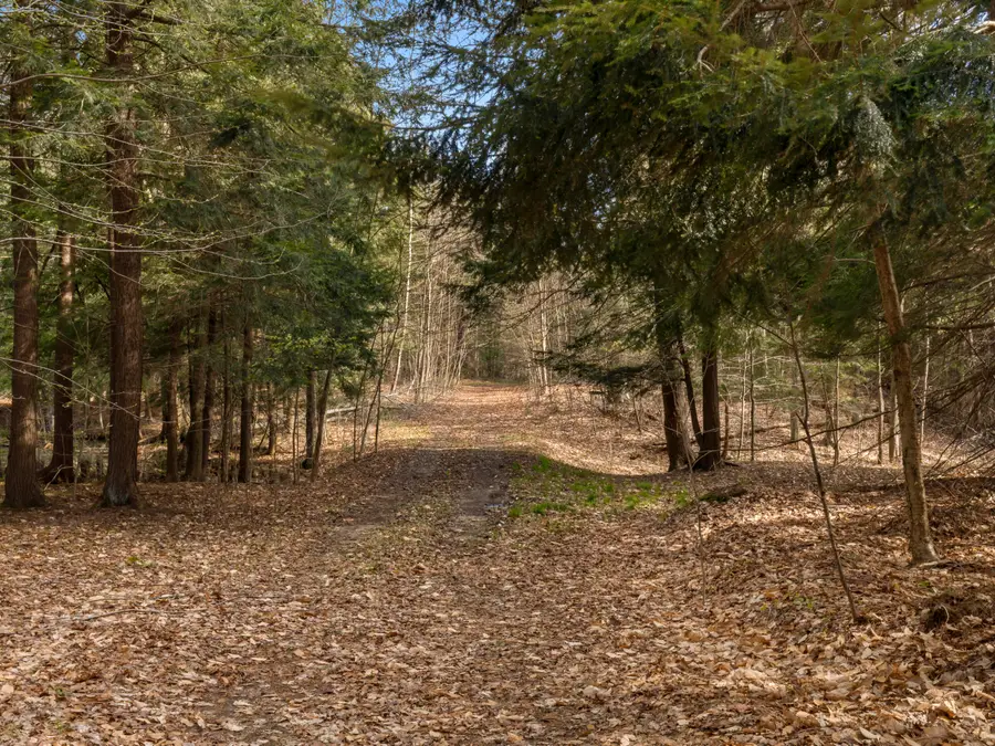 00 Benzie Highway, Benzonia, MI 49616 - #3