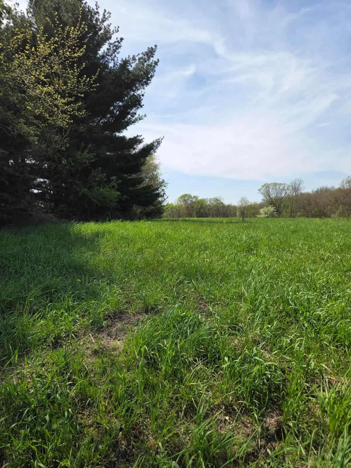 V/L 66th, Hartford, MI 49057 - #1