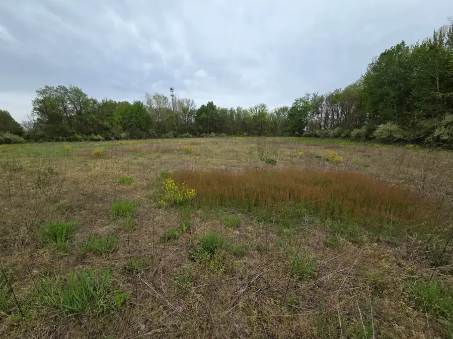 V/L M-40 Highway, Paw Paw, MI 49079 - #2