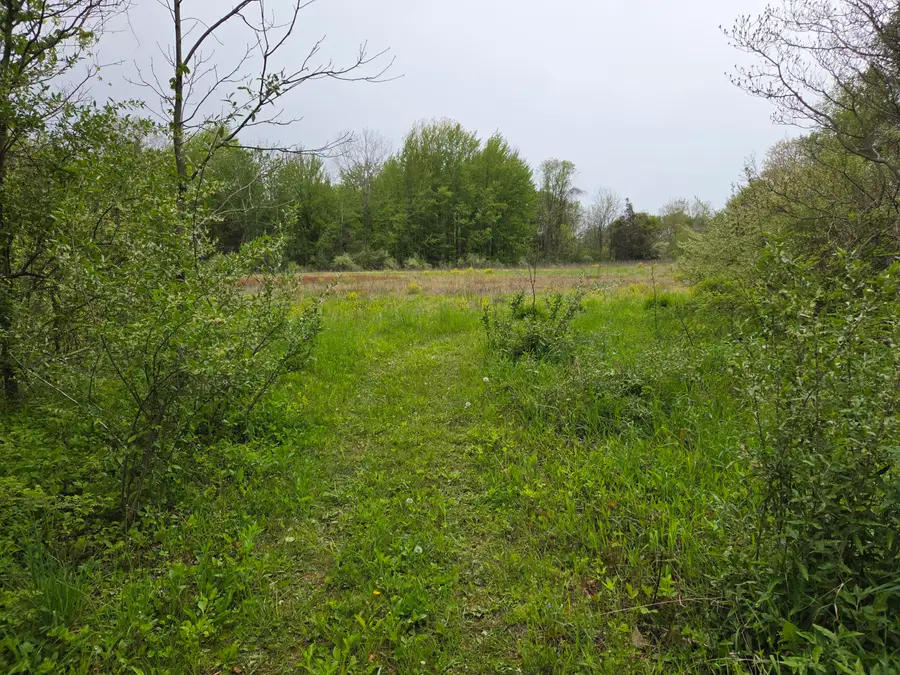 V/L M-40 Highway, Paw Paw, MI 49079 - #3