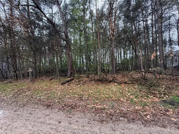 7745 Lakeview Drive, Stanwood, MI 49346