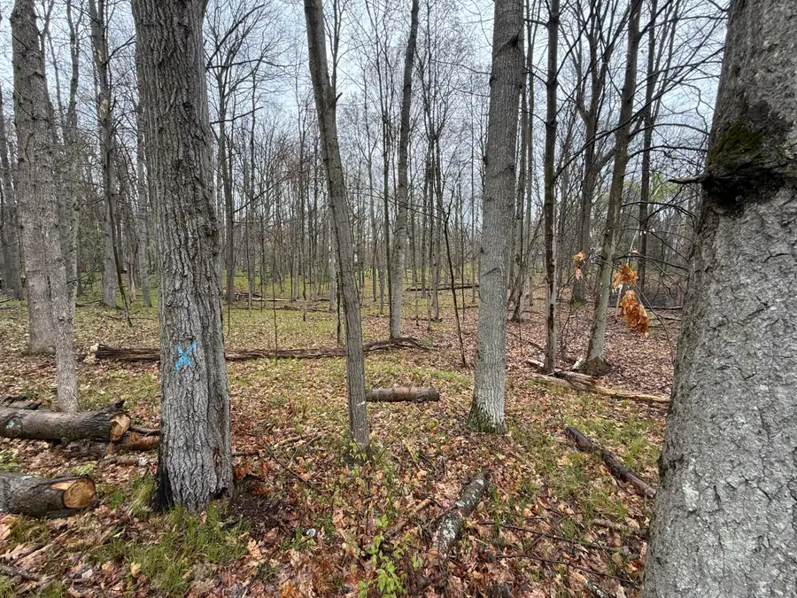 8196 Pine Tree Trail, Stanwood, MI 49346 - #3