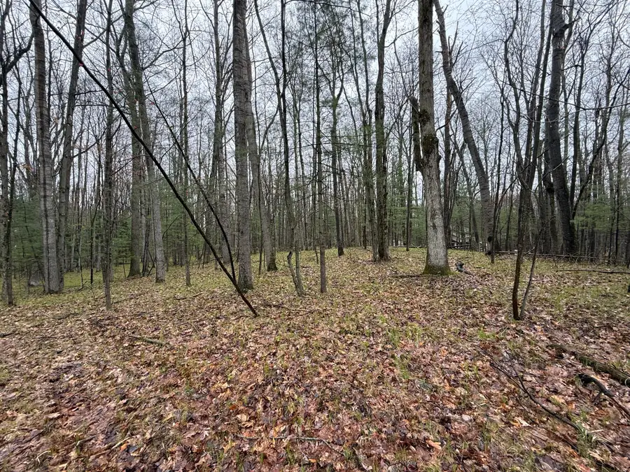 8278 Highland Trail, Stanwood, MI 49346 - #2
