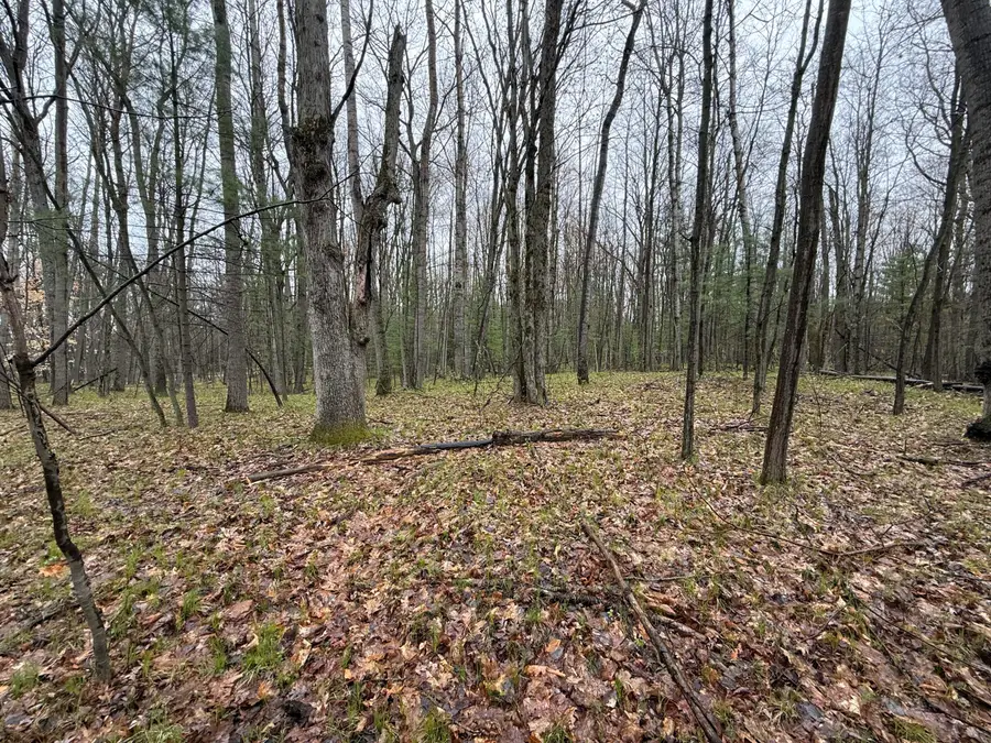 8278 Highland Trail, Stanwood, MI 49346 - #3