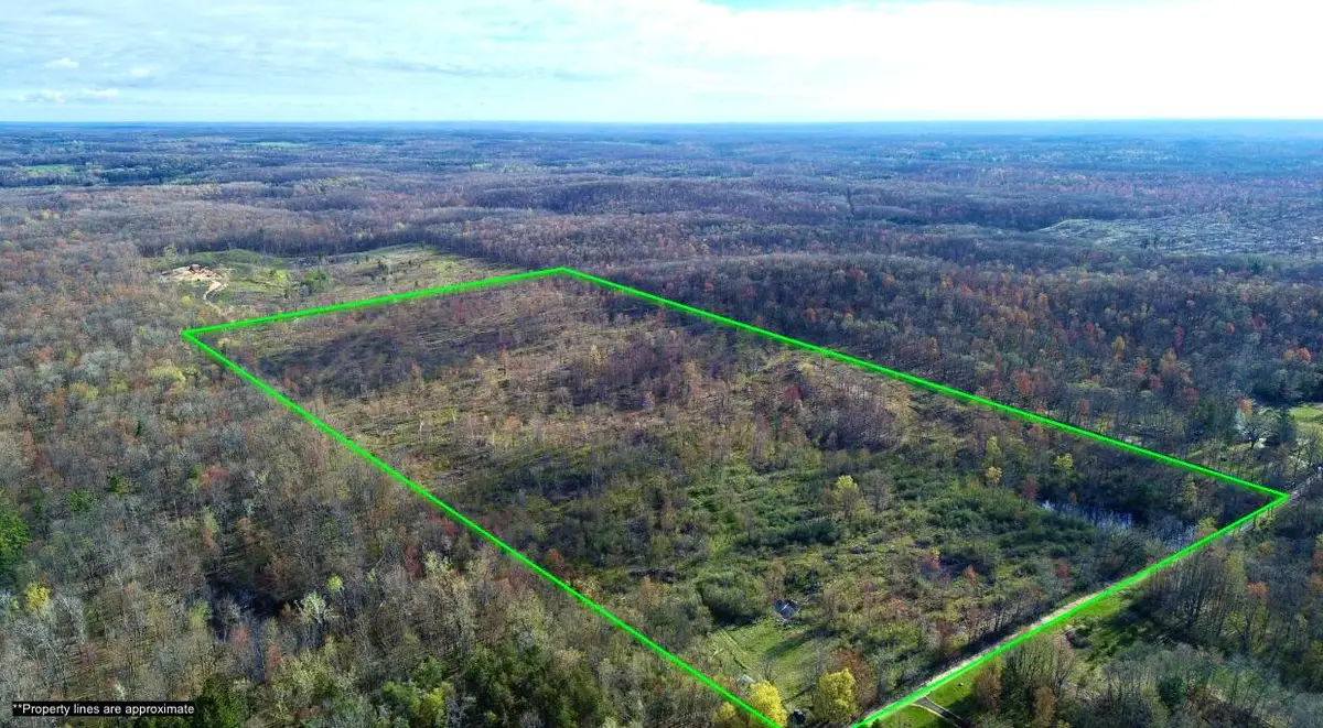 E Jackson Street, White Cloud, MI 49349 - #1