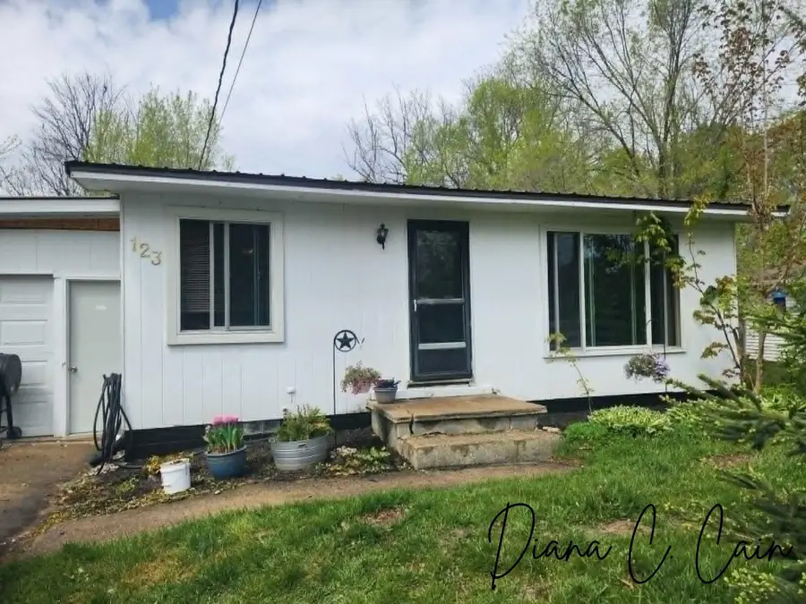 123 Riverside Drive, Hart, MI 49420 - #2