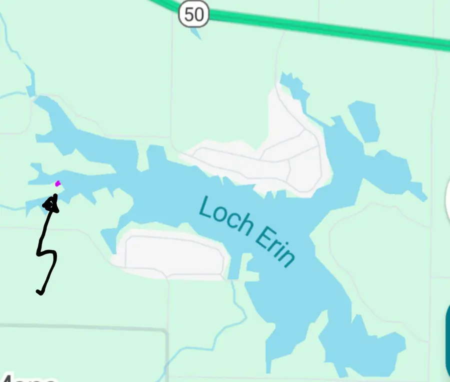 Castlebar Lane, Onsted, MI 49265 - #3