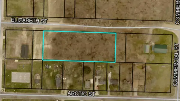 406 Elizabeth Street, Buchanan, MI 49107