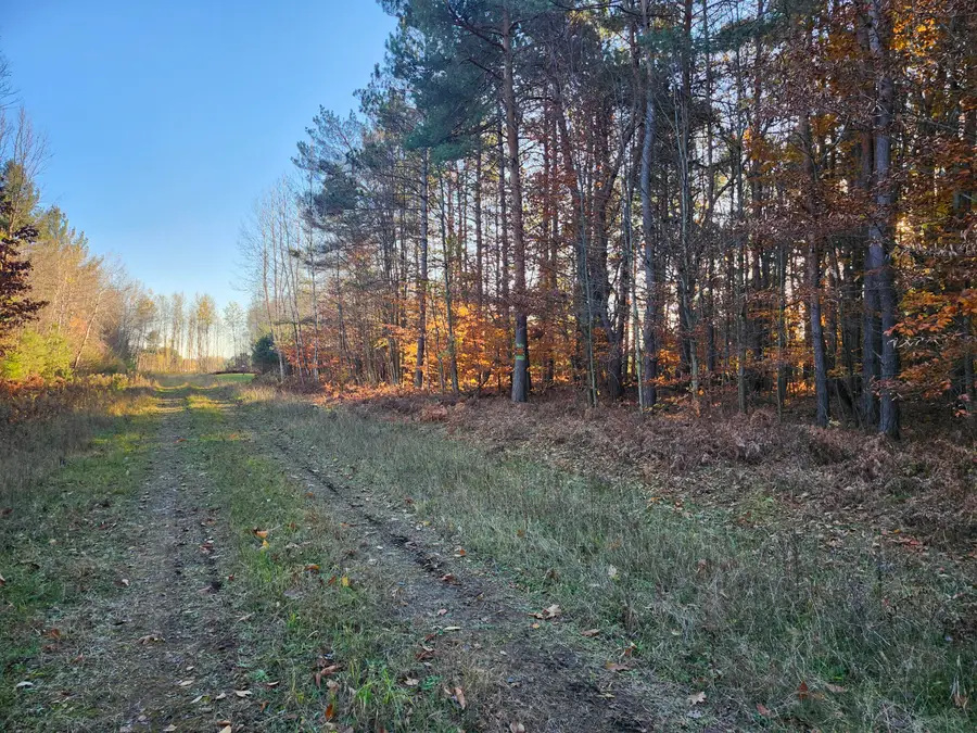 VL 5 acres 9 Mile Road, Kaleva, MI 49645 - #3