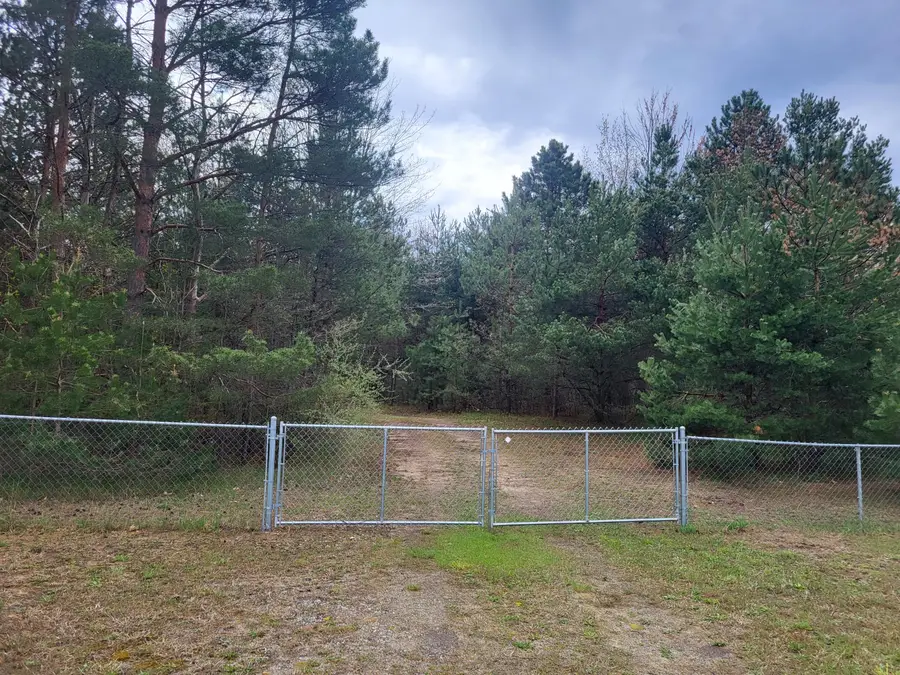 9479 Glovers Lake Road, Bear Lake, MI 49614 - #3