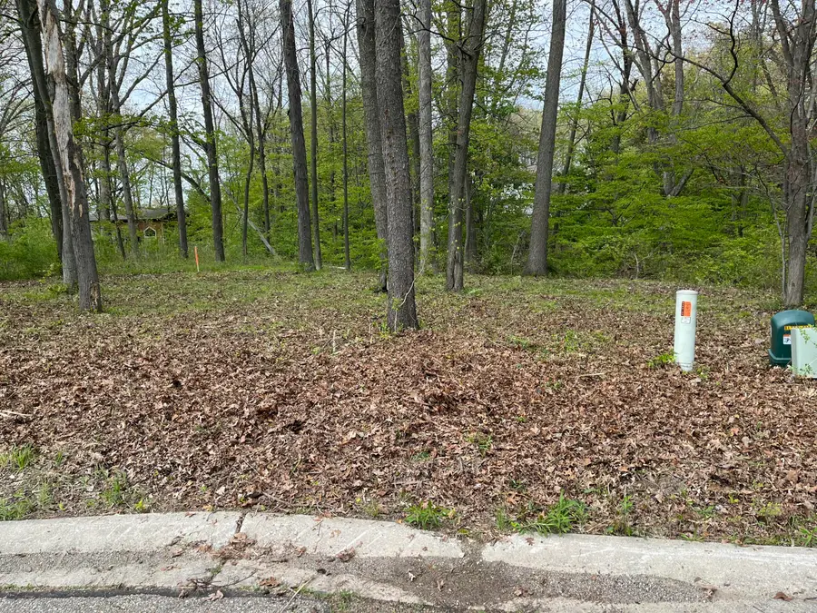 820 E Indiana Street, New Buffalo, MI 49117 - #3