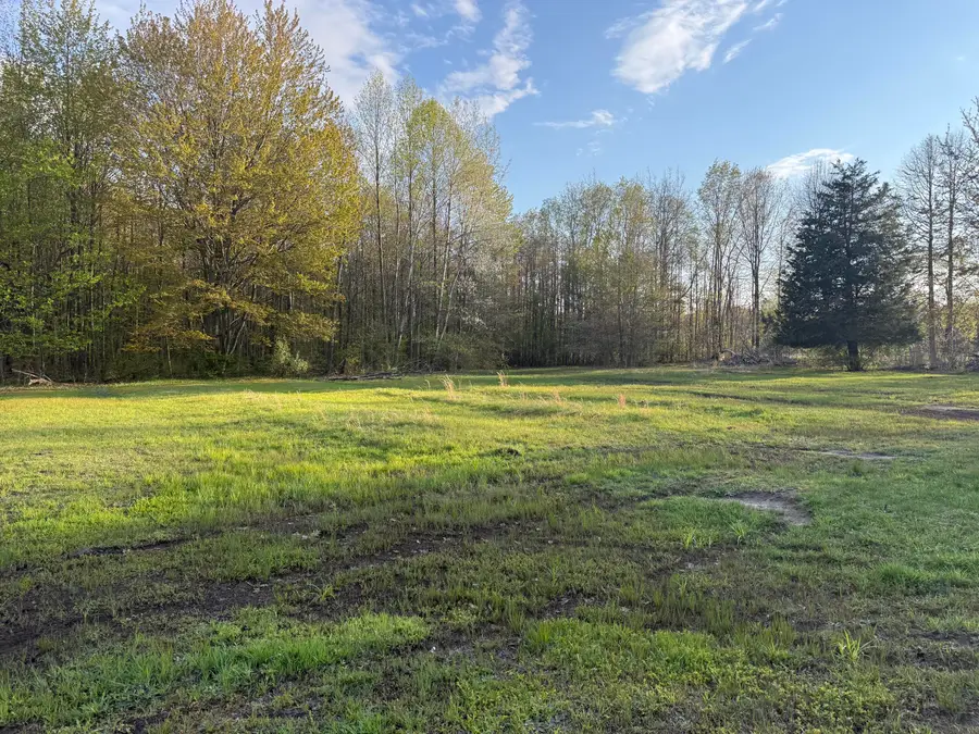 6034 136th Avenue, Saugatuck, MI 49453 - #3