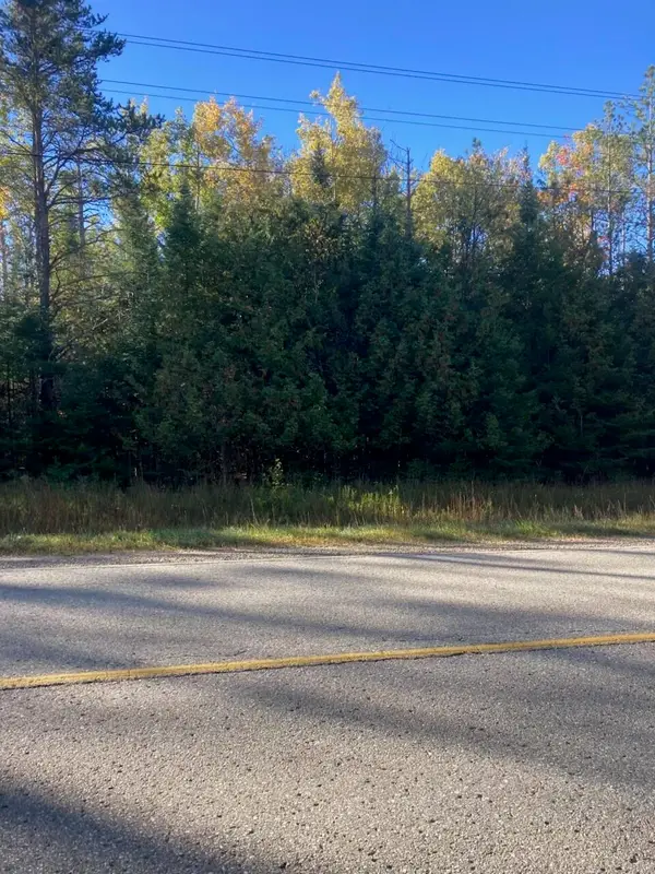 9165 Afton Road, Afton, MI 49705