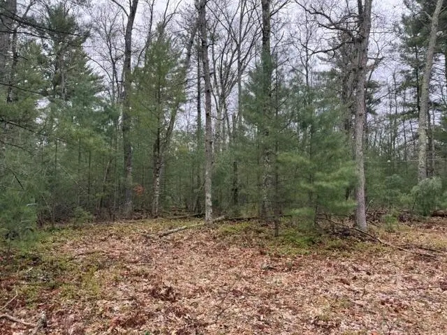 VL Freesoil Road, Irons, MI 49644 - #1