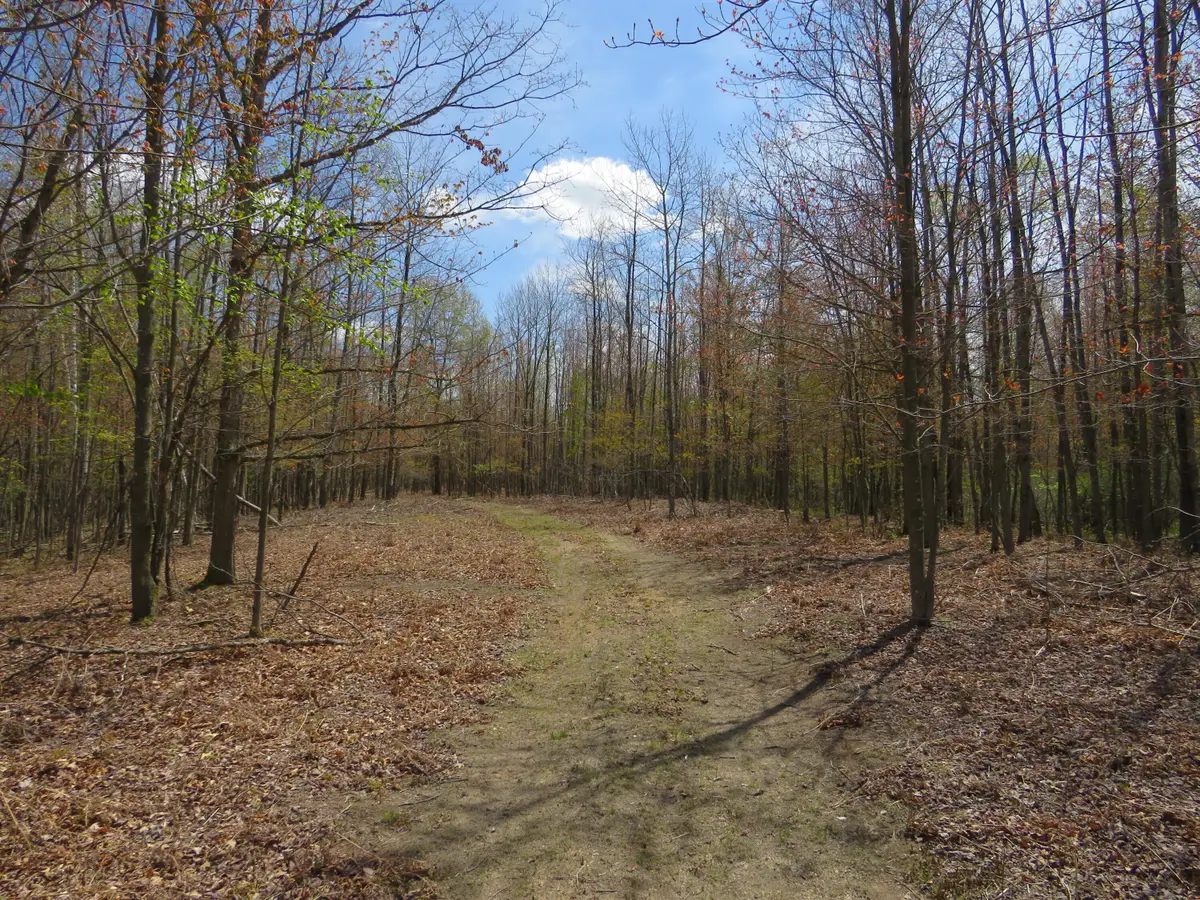 N Chippewa Road, Mount Pleasant, MI 48858 - #1