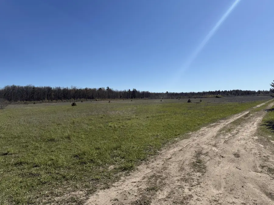 N V/l N Dagget Road N, Howard City, MI 49329 - #2