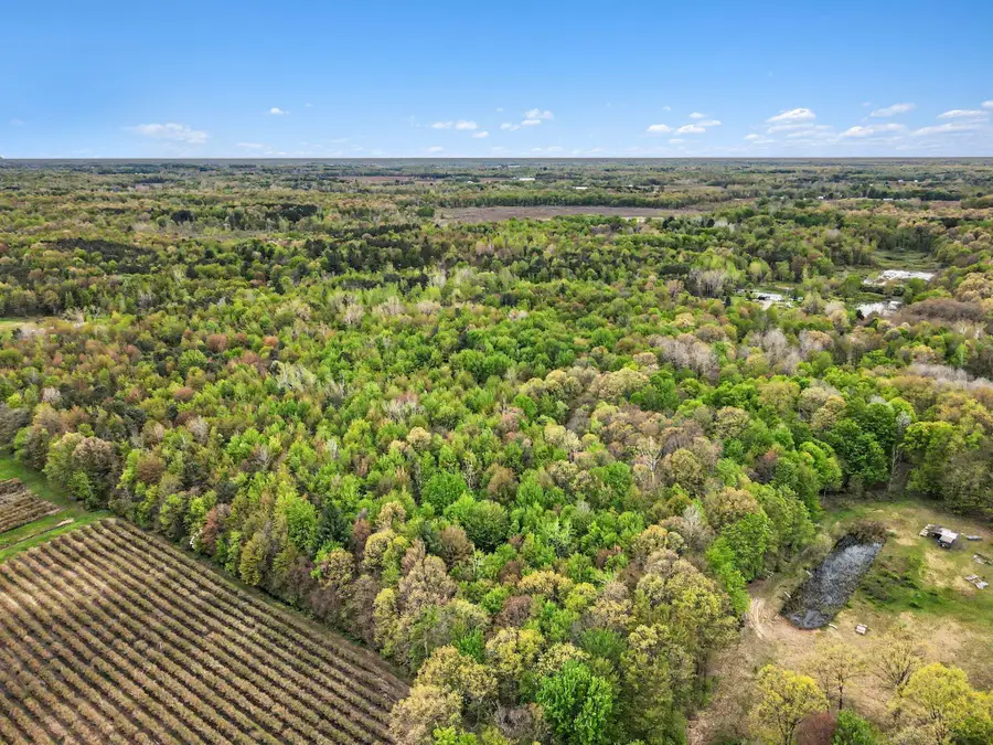 58th Street, Grand Junction, MI 49056 - #3