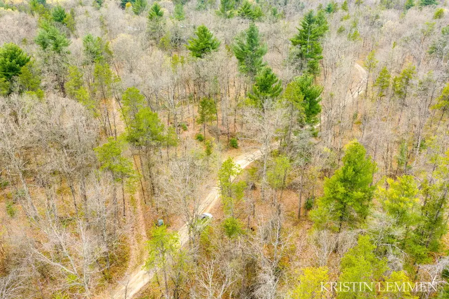 936 E Forest View, White Cloud, MI 49349 - #2