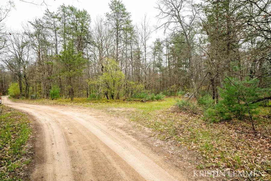 936 E Forest View, White Cloud, MI 49349 - #3