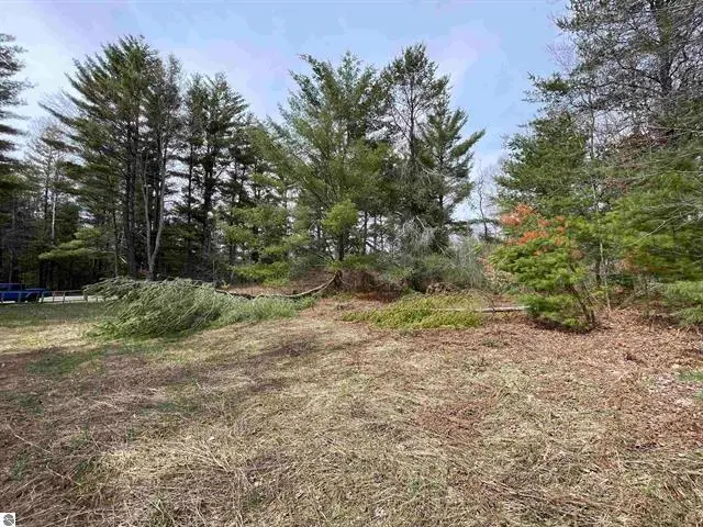 00 Mackinaw Trail, Leroy, MI 49655 - #3