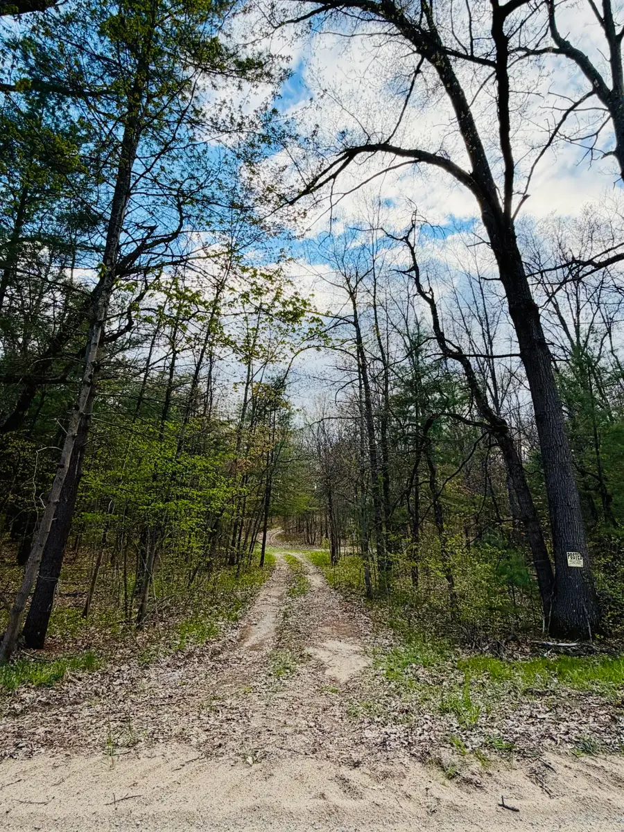 1661 N Centerline Road, White Cloud, MI 49349 - #2