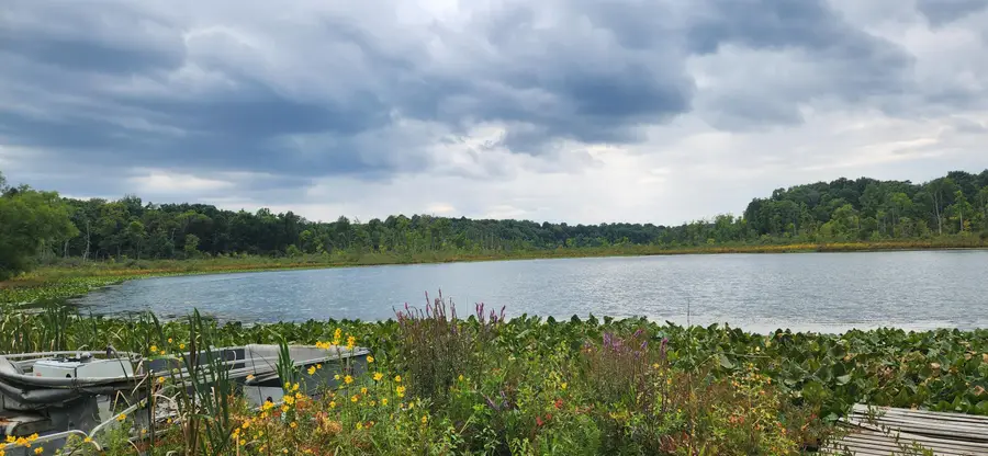 64778 Union Road, Cassopolis, MI 49031 - #3