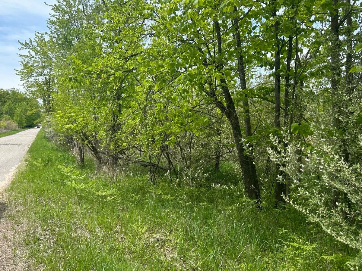 Elm Drive, Lakeview, MI 48850 - #1