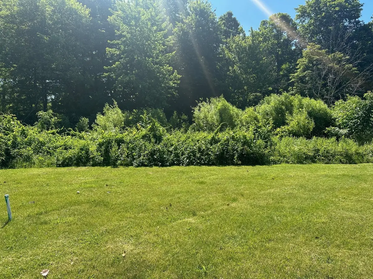 107 Diamond Point Lane, New Buffalo, MI 49117 - #1