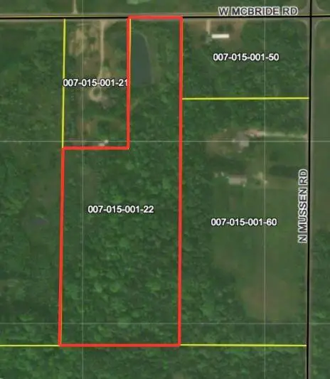Mcbride Road Nw, Stanton, MI 48888 - #1