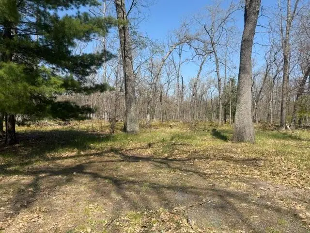 9227 S Star Lake Drive, Baldwin, MI 49304 - #3