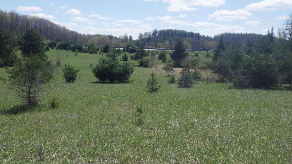 S 39 Road, Cadillac, MI 49601 - #1