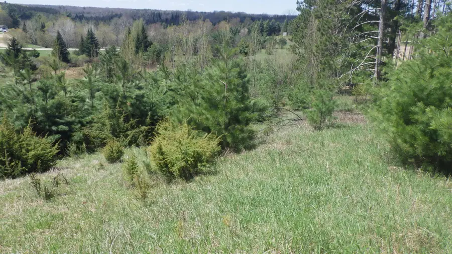 S 39 Road, Cadillac, MI 49601 - #3