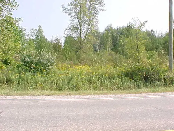 0 County Line Road, Casco, MI 48064