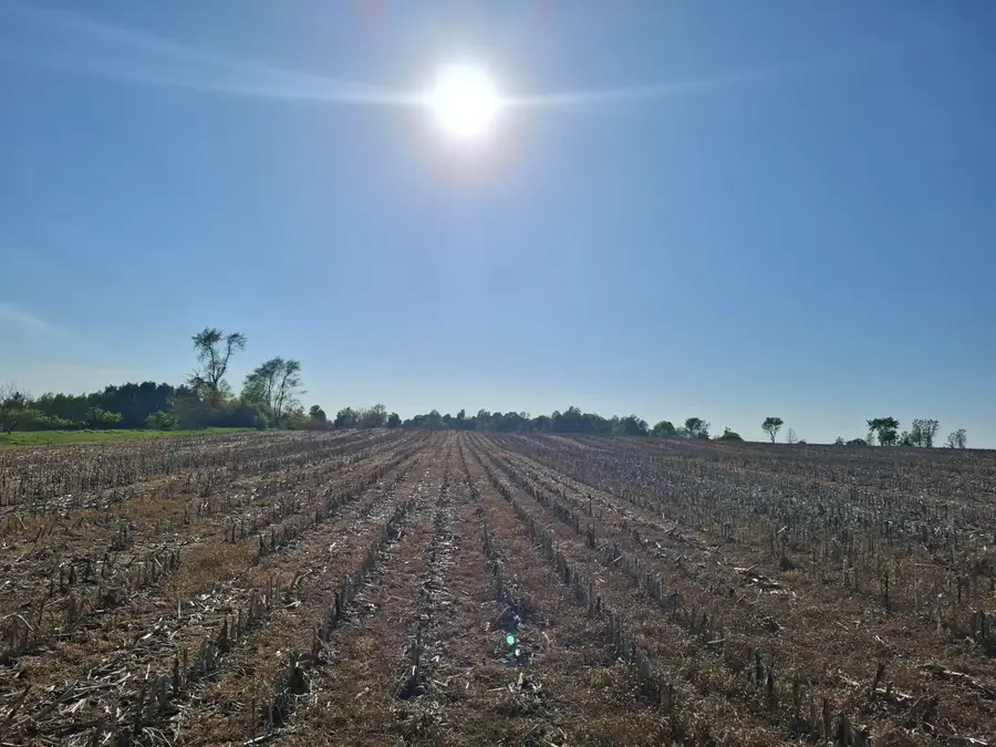 Cr 681, Hartford, MI 49057 - #3