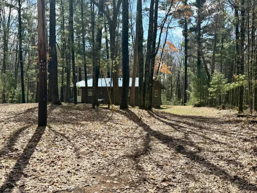 4047 E Creek Wood Drive, Chase, MI 49623 - #2