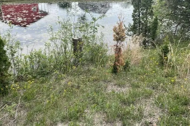 Case Drive, Union City, MI 49094 - #2