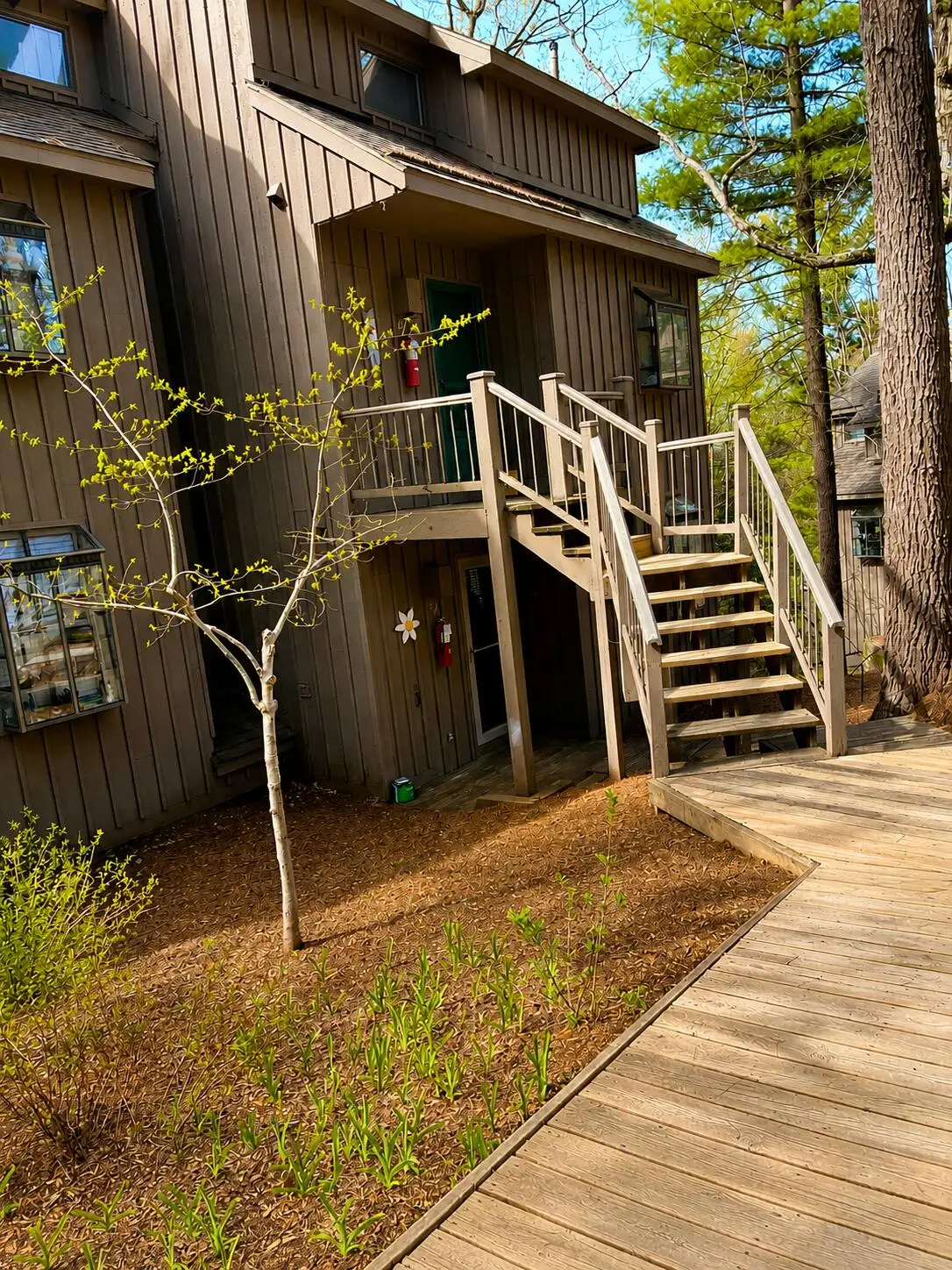 42 Hawks Ne Street #42, Glen Arbor, MI 49636 - #1