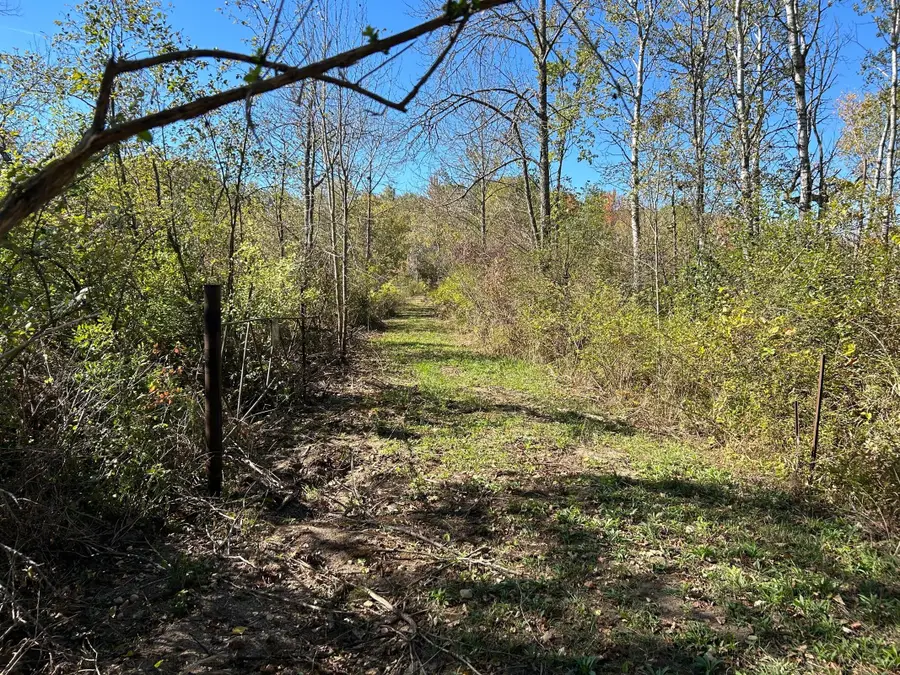 V/L 30th Avenue, Remus, MI 49340 - #2