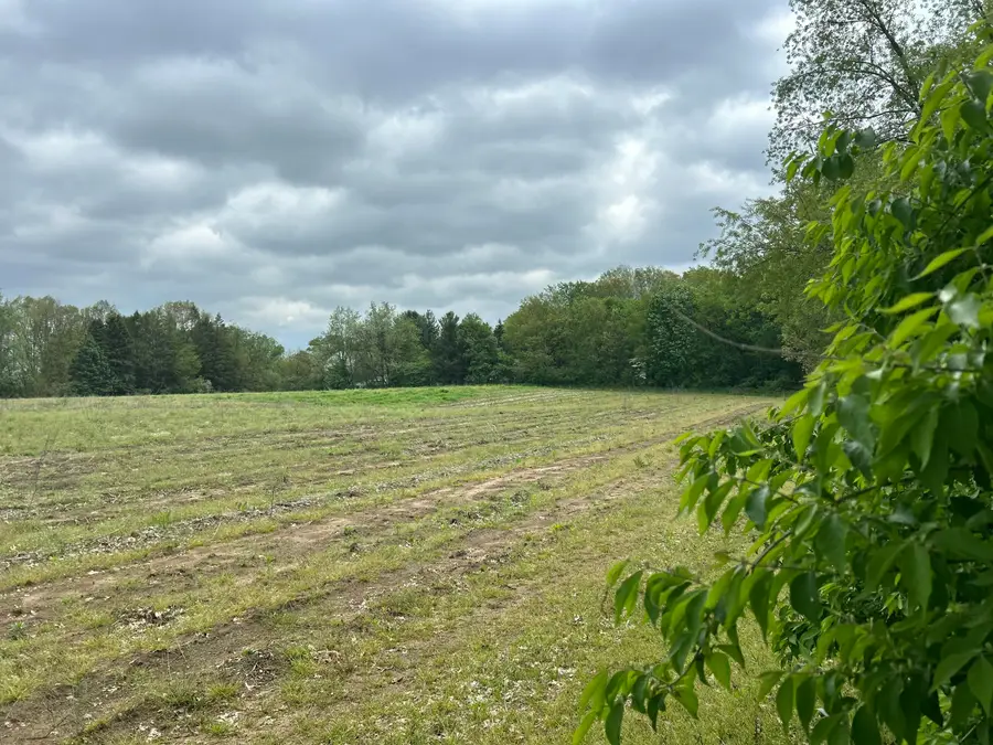 V/L House Street Ne, Belmont, MI 49306 - #2