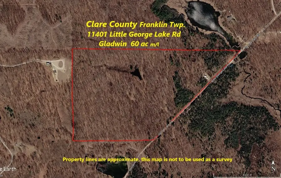 11401 Little George Lake Road, Gladwin, MI 48624 - #3