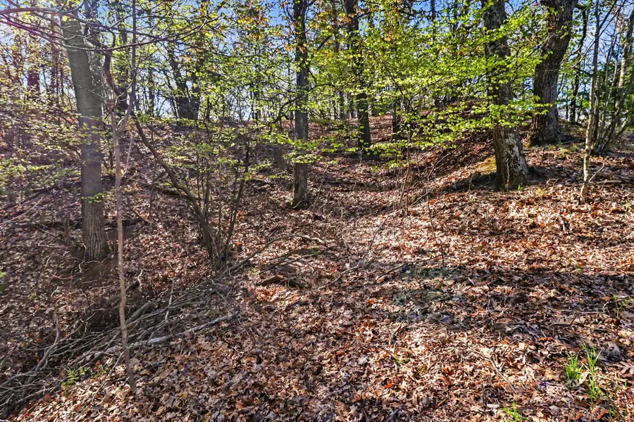 N Silver Ridge Road, Mears, MI 49436 - #2