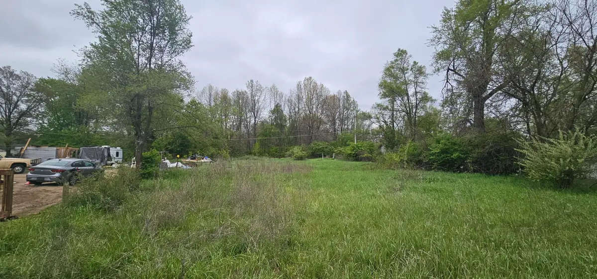 W Manchester Street, Battle Creek, MI 49037 - #1
