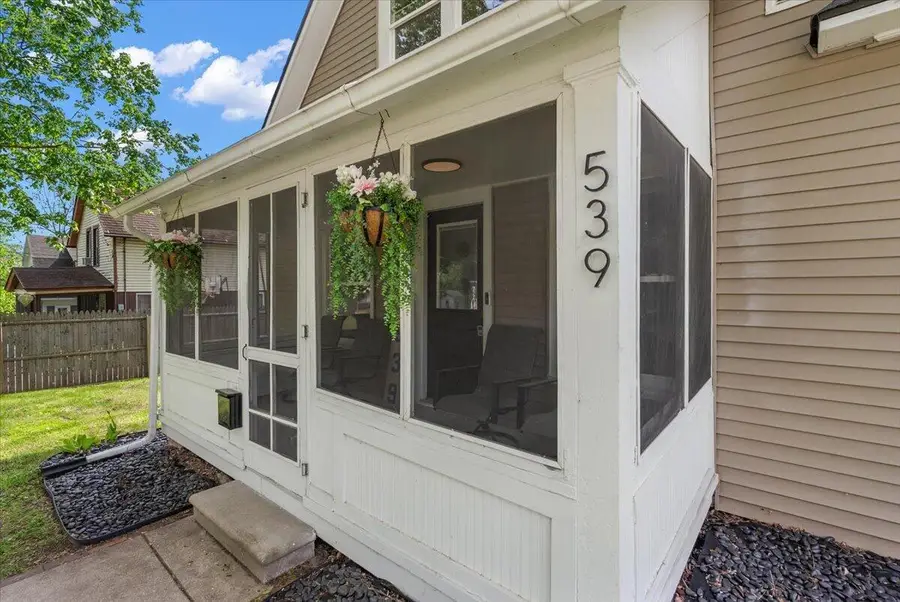 539 King Street, Ionia, MI 48846 - #2