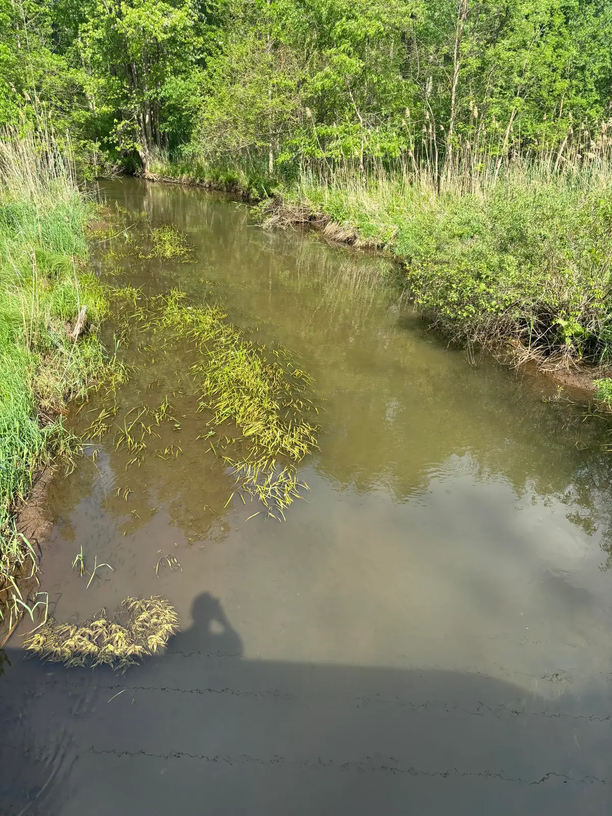 V/L Marshall Road, Tekonsha, MI 49092 - #1